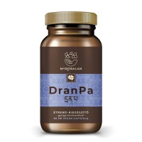 DranPa agyserkentő és memóriajavító gyógynövény-komplex - Myrobalan