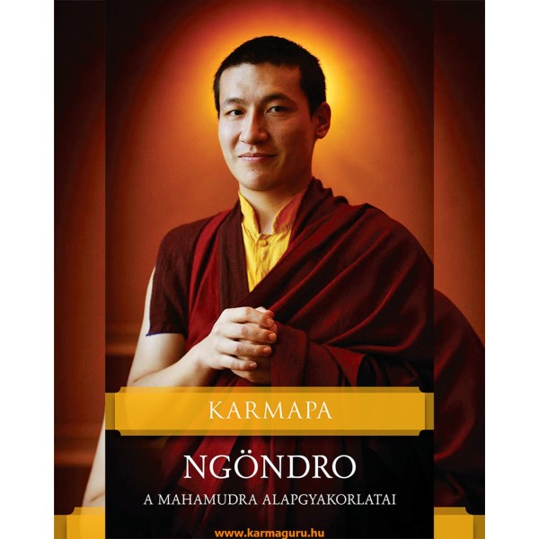 Karmapa - Ngöndro
