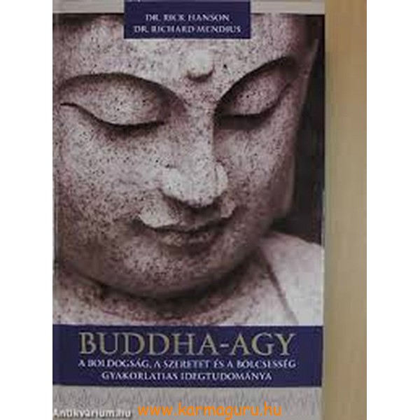 Dr. Rick Hanson - Dr. Richard Mendius: Buddha agy (CD melléklettel)