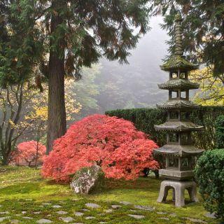 Japán füstölő - minden, amit tudni szeretnél róla